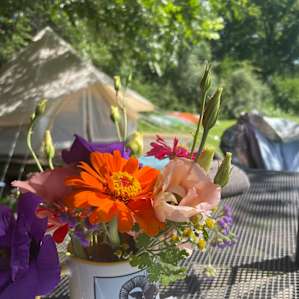 Private "Glamping" on Flower Farm!