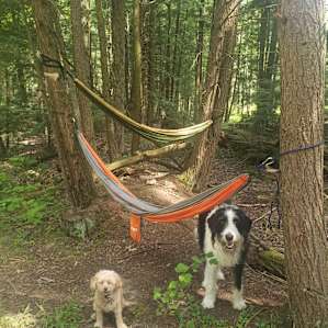 Cedar Creek Forest Camping