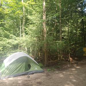 Cedar Creek Forest Camping