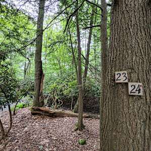 Bald Eagle Campsite - Large Group