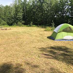 Wildflower Acres