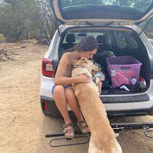 Timber saying goodbye to my daughter.