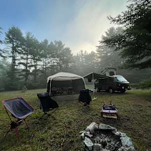 Morning mist at site 3