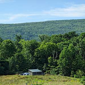 Scenic Farm Pastures