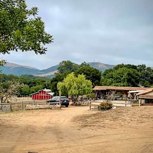 Camping site with common area