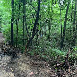 Creek Side Tent site