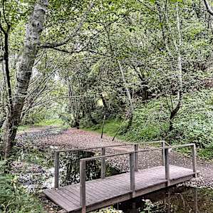Creekside Camp