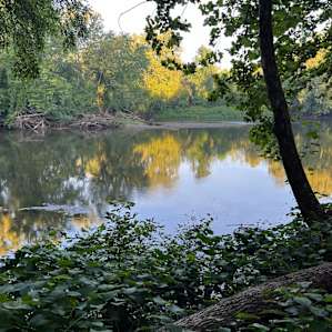 Secluded Riverside & Private Island