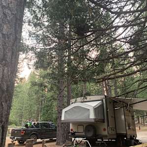 Quiet Forest Retreat