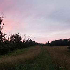 Scenic Farm Pastures