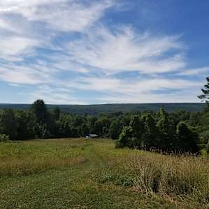 Scenic Farm Pastures