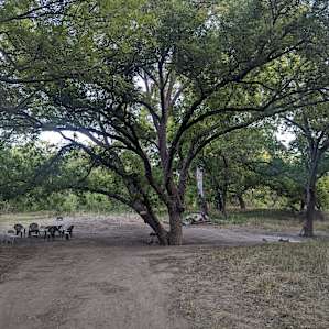 Tent Spot for Stargazers