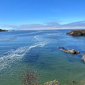 So close to the beach, plenty of hiking trails, and town.