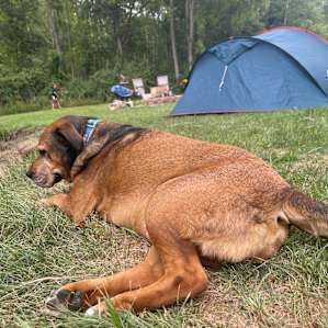 Peaceful Private Campground {1 of 3