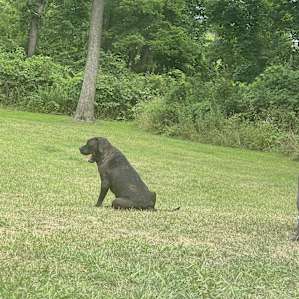 Peaceful Private Campground {1 of 3