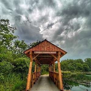Pine Cove