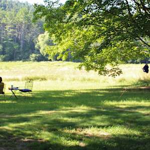 Historic Springs Farm & Maples