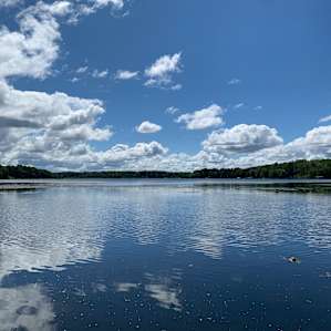The lake from the dock