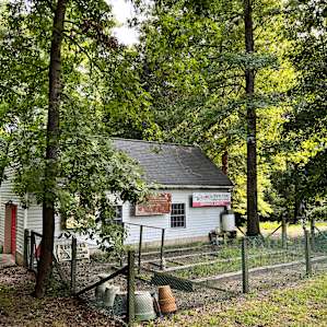 City Camp on Reedy Creek