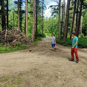 Cedar Creek Forest Camping