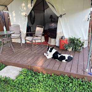 Cosmos Glamping Tent