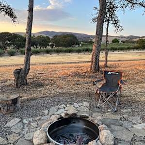 Overlooking olive trees
