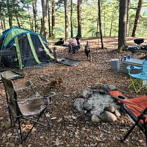 Beaver Bug Campsite
