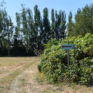 Clearly marked signs to the hipcamp