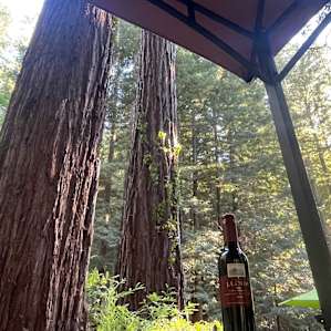 Redwood Retreat