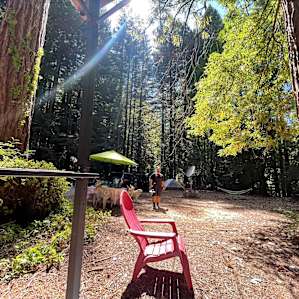 Redwood Retreat