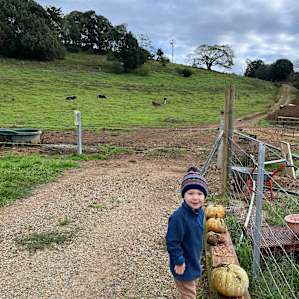 Tweed Valley Farmhouse Cheeses