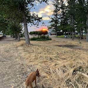 Havenwood RV or Tent Site