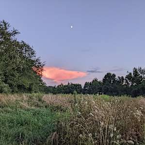 Blackberry Meadows Farm