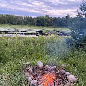 Forest Cleanse on 40 Acres