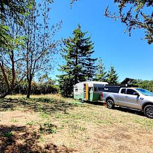 Fairy Ring Camp