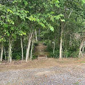 Tent Platform in the Woods