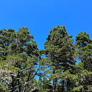 Another view from our campsite in the middle of the day not a cloud in the sky.