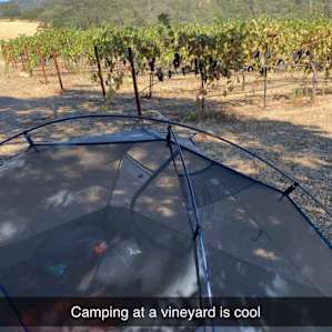 Camp in the Vineyards