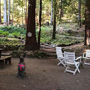Redwood Retreat