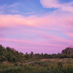 We were lucky enough to have a pink sunset! The sky out here is like no other.