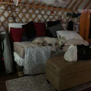 Yurt Crazy