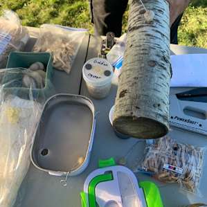 Mushroom plugging