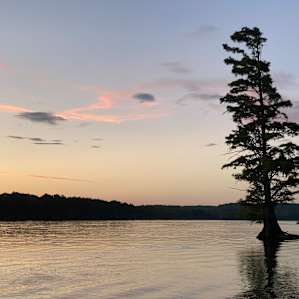 Camping on the Tennessee River