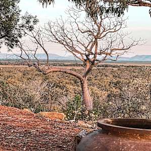 Ord Valley Delight