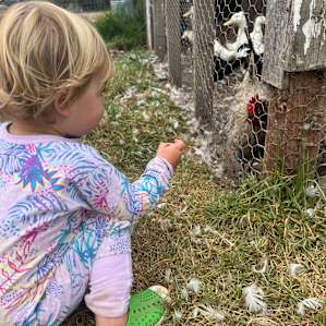 Camp with Goats!