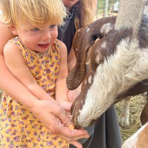 Camp with Goats!