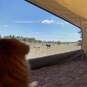 We Have 15 Beautiful Camp Sites