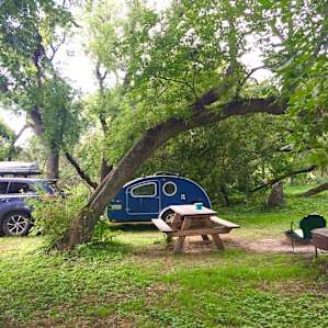 The Auntie's Grove at Moonstone