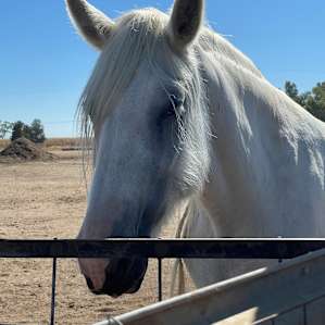 Hirst Horse Ranch Sites #3-5