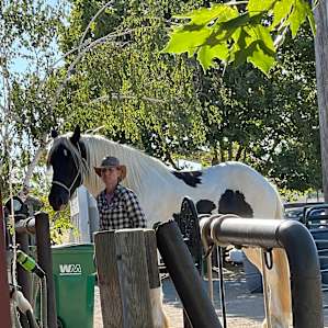 Though Christina has an impressive equestrian resume, she is so humble and infinitely patient & kind.